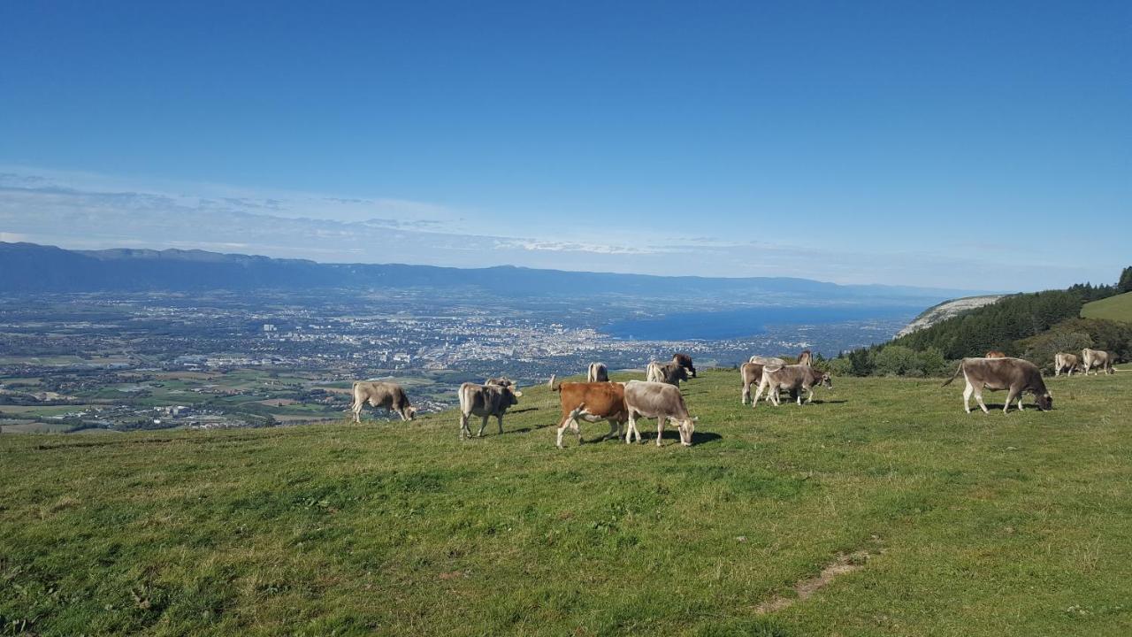 Appartement Au Calme Avec Terrasse Verdoyante Entre Annecy Et Geneve Villy-le-Pelloux Exterior foto