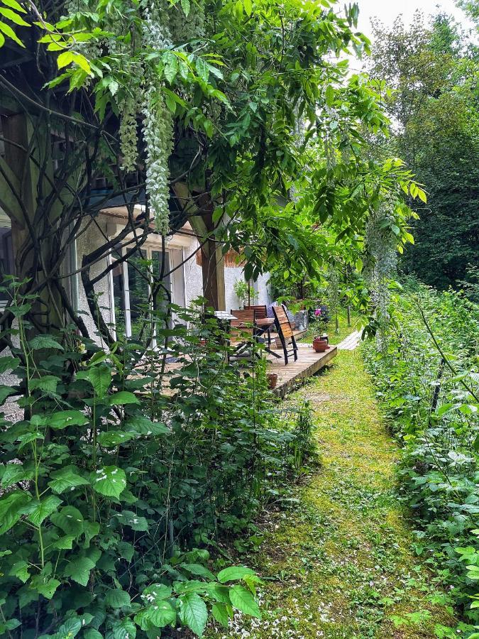 Appartement Au Calme Avec Terrasse Verdoyante Entre Annecy Et Geneve Villy-le-Pelloux Exterior foto